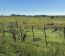 Campo En Alquiler Mixto 180 Has. En Bolivar