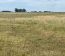 Campo En Alquiler Mixto 180 Has. En Bolivar