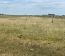 Campo En Alquiler Mixto 180 Has. En Bolivar