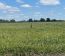 Gral. Las Heras 700 has. Mixto