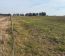 Campo En Alquiler Mixto 180 Has. En Bolivar