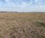 Campo En Alquiler Mixto 180 Has. En Bolivar